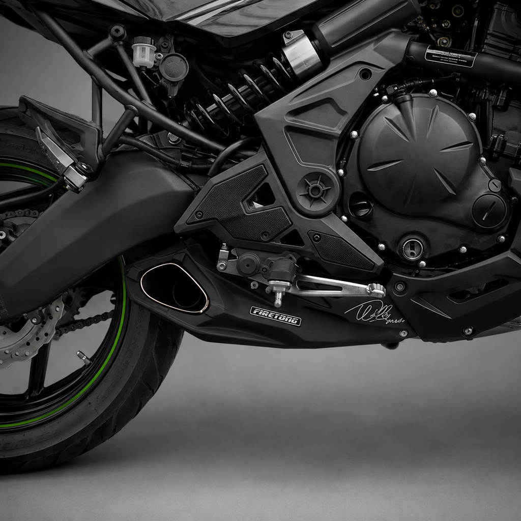 Firetong Willy Made Kawasaki Versys 650 23-24